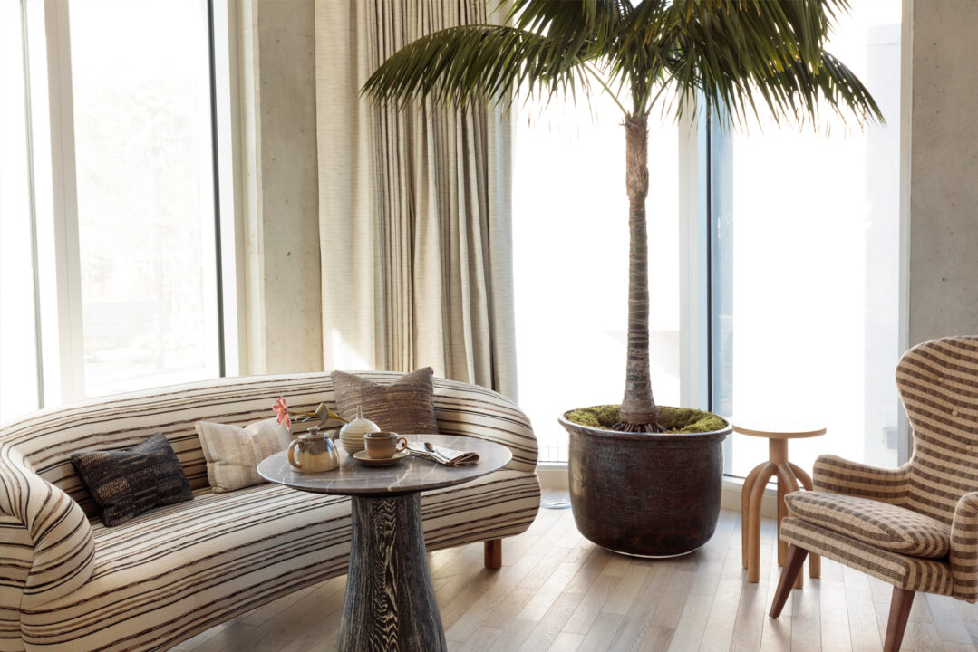 Sunlit hotel suite lounge with curved striped sofa, indoor palm tree, and cozy seating area by floor to ceiling windows