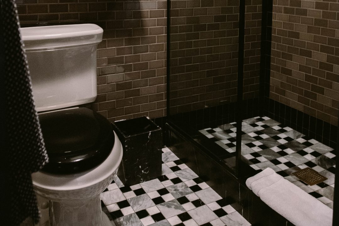 san francisco proper guest bathroom