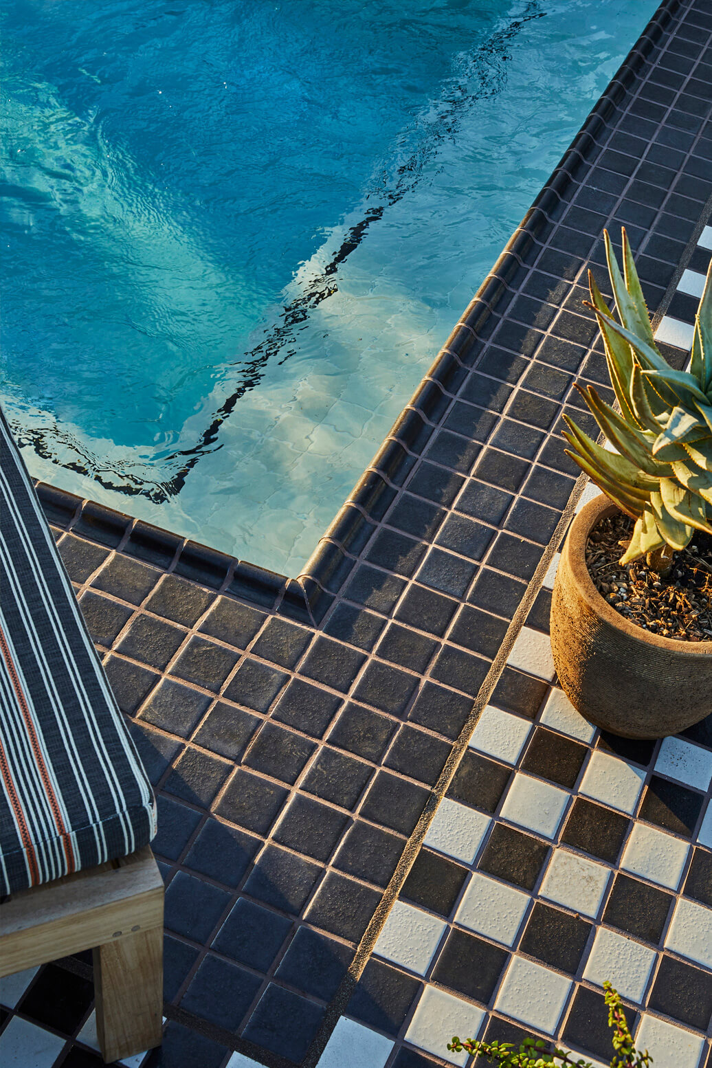 Detail image of rooftop pool with plants on tiled floor