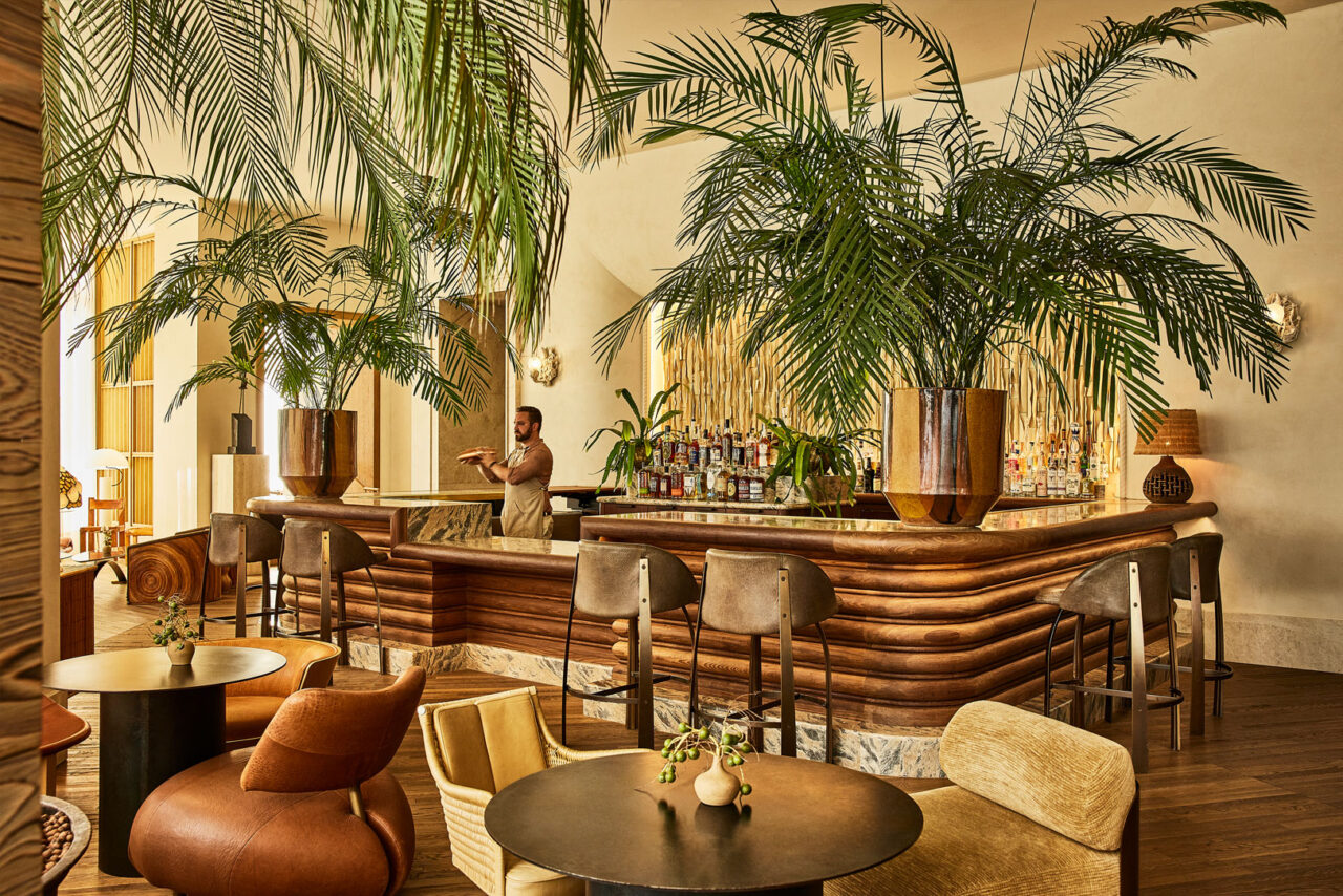 Bar lounge with palm decor