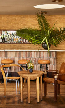 Stylish modern bar with earthy tones, cozy seating, and a tropical plant accent.