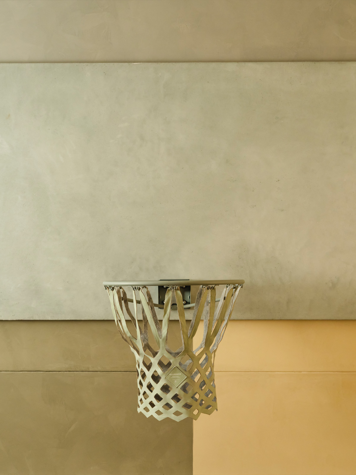 Luxury suite basketball hoop decor