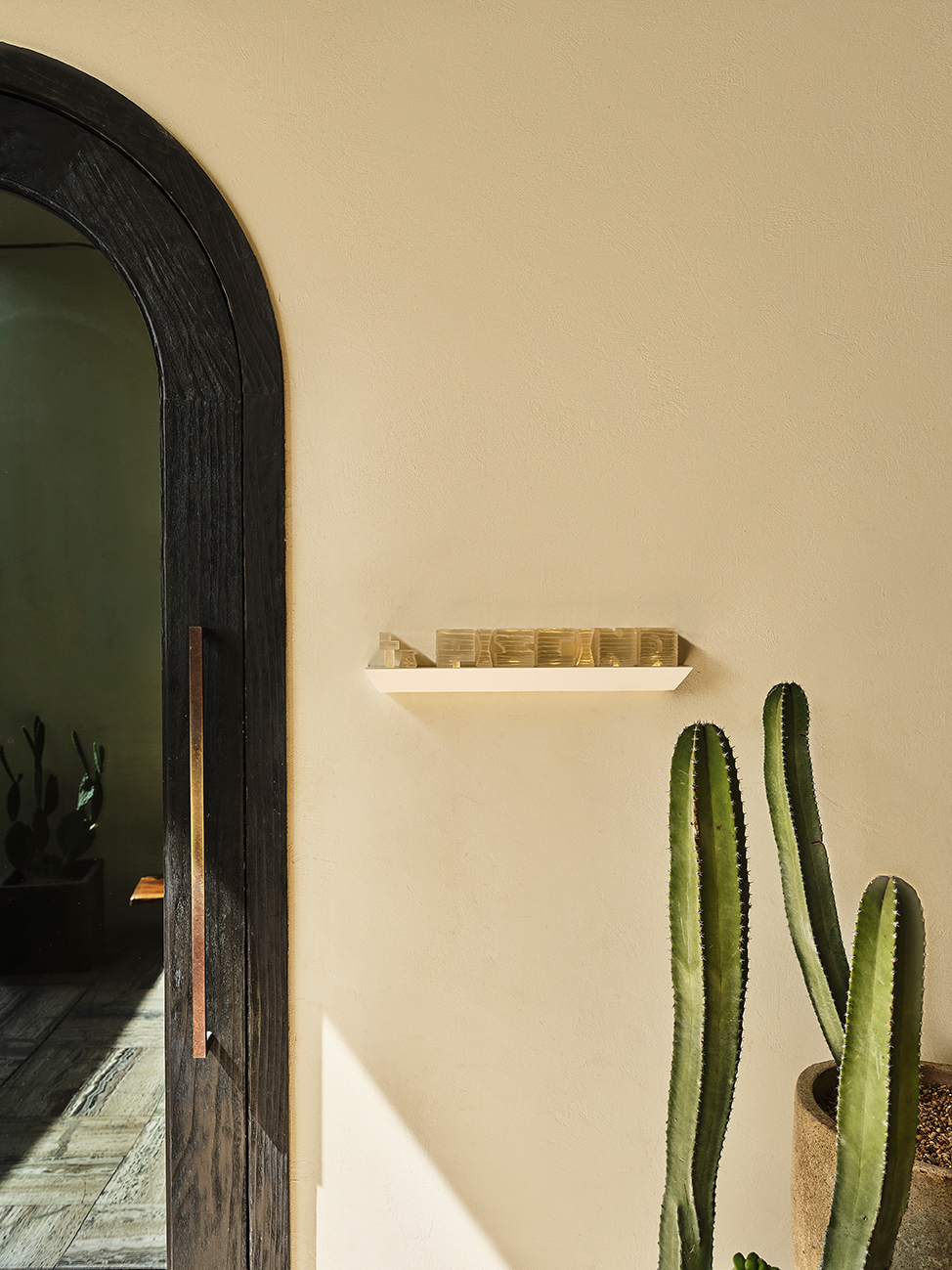Arched wooden doorway with cactus plants and minimalist wall shelf decor