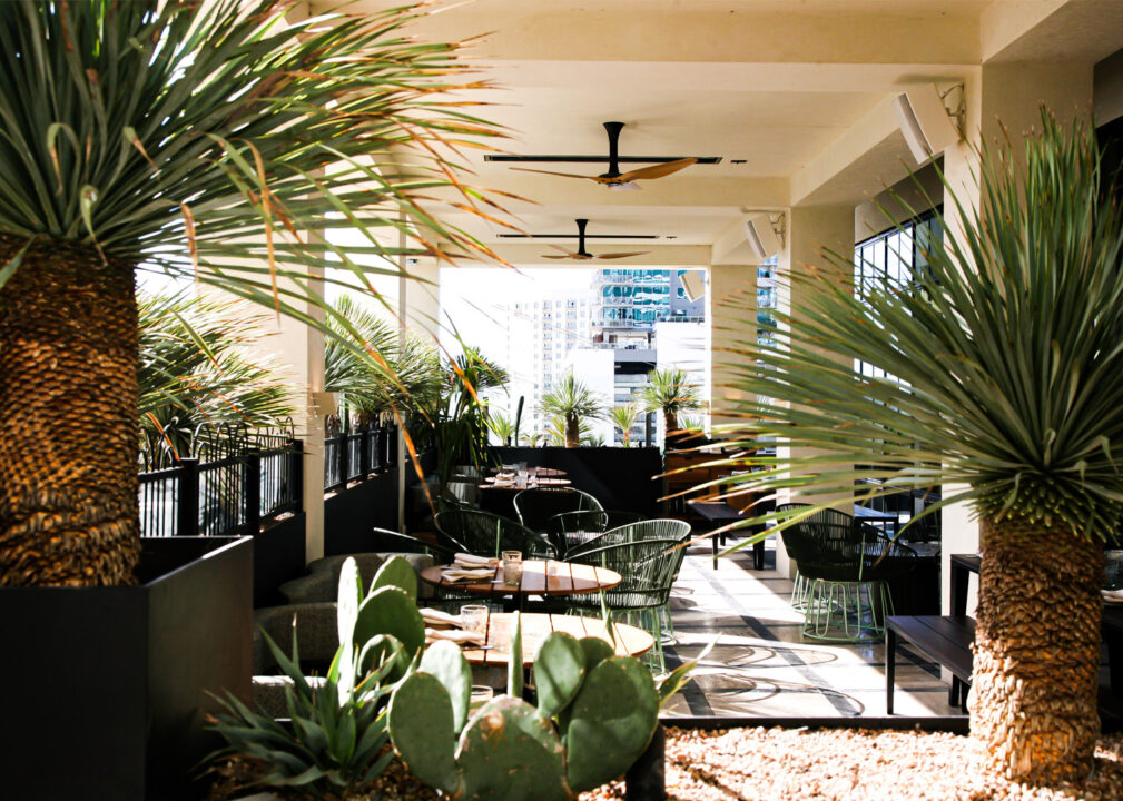 Sunlit outdoor patio with palm trees, cactus accents, and relaxed dining seating in a breezy, resort-style setting