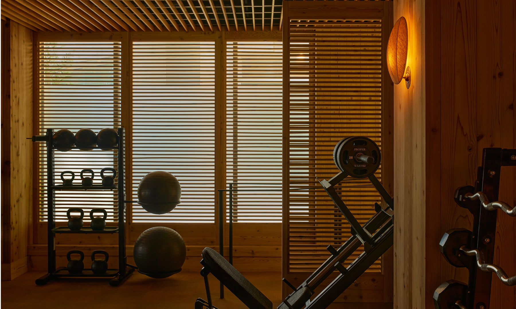 Dimly lit gym with two exercise balls, leg press machine, and wood panel walls with slatted windows.