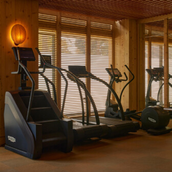 Modern gym with stair stepper, elliptical machines, and wood accents, sunlight filtered through window blinds.