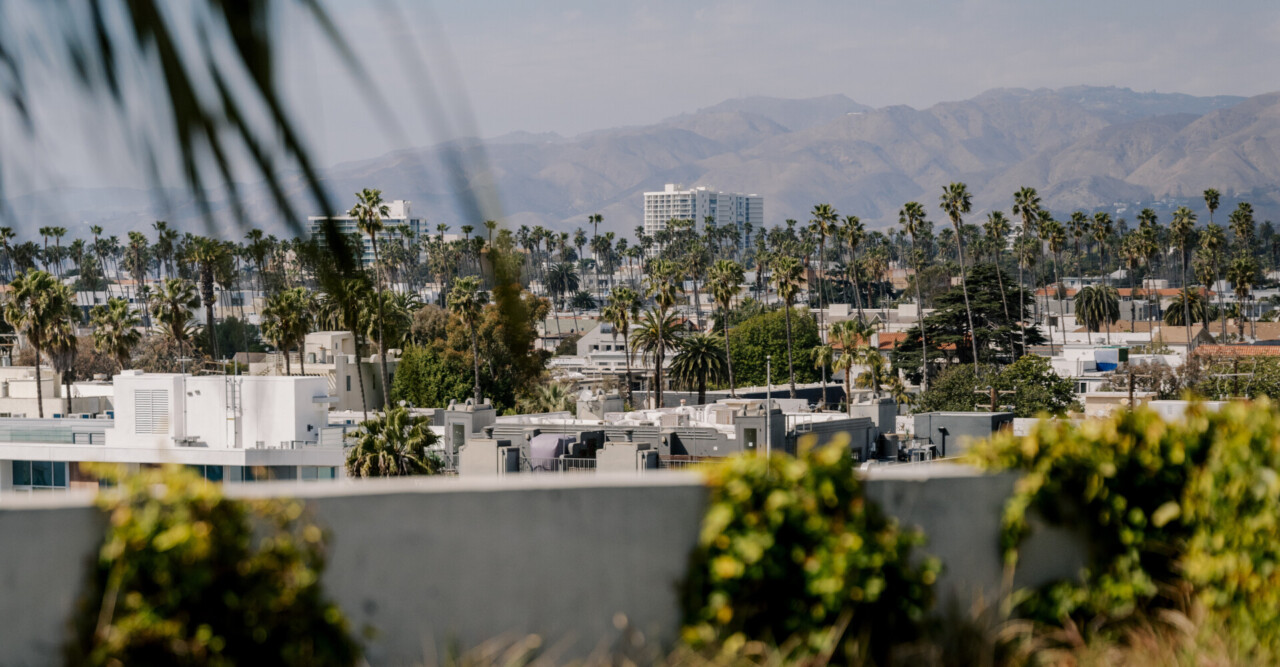 Scenic city and mountain views framed by palm trees in a peaceful desert resort setting