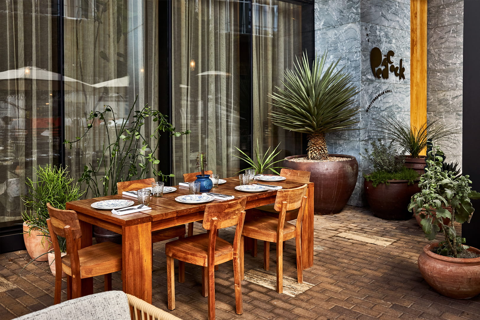 Outdoor table seating at Peacock with wooden chairs, blue-patterned plates, and lush potted plants.