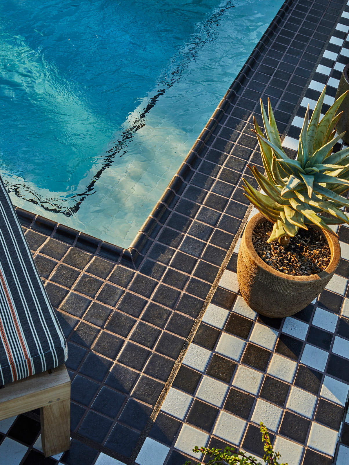 Detail image of rooftop pool with plants on tiled floor