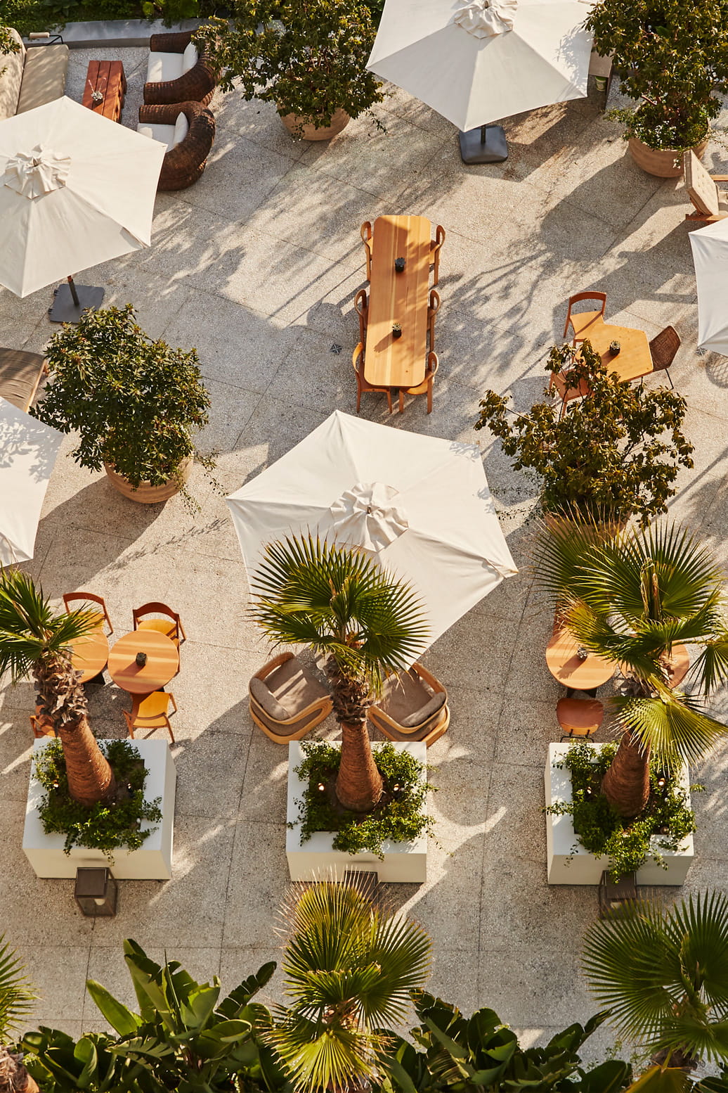 aerial view of Olea Terrace