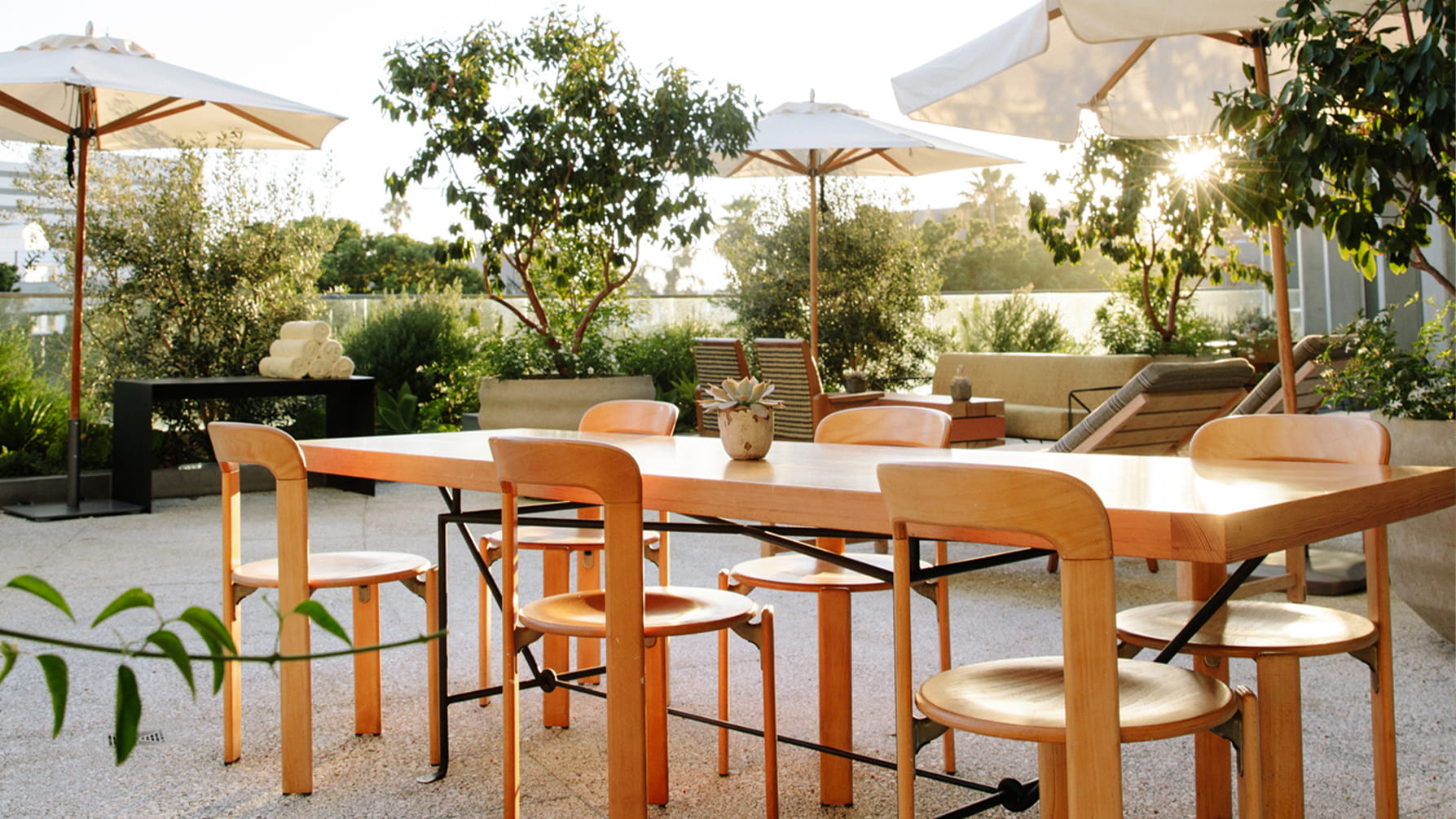 Table set up on olea terrace