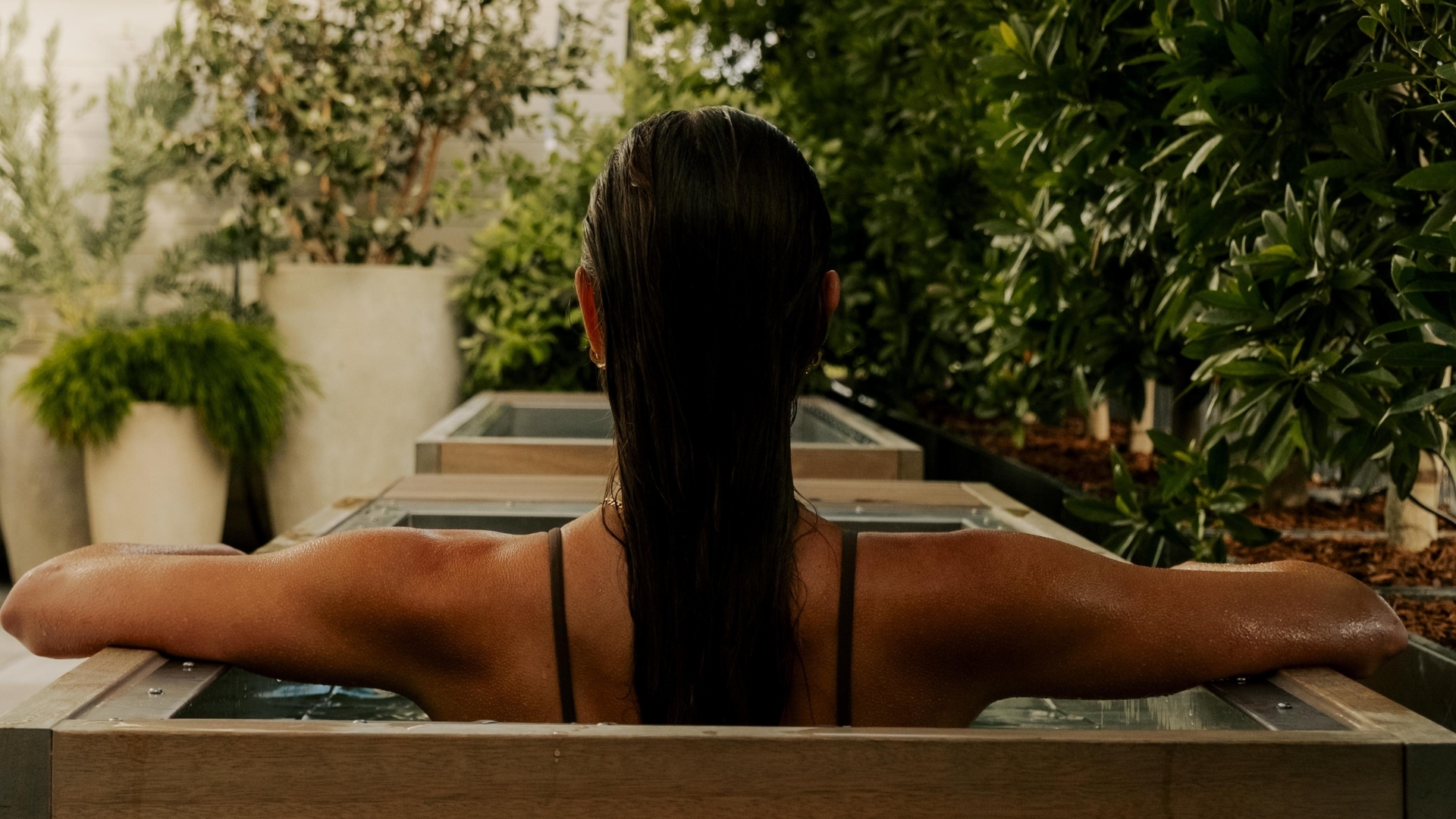 Wellness Package image